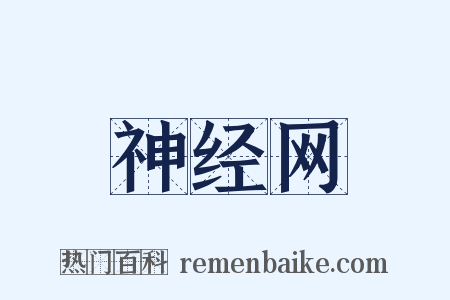 神经网是什么意思的图片